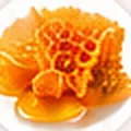 Calendula flower